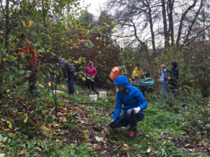 2nd Saturday Work Party • Dec 8 • 9:30am-1:30pm