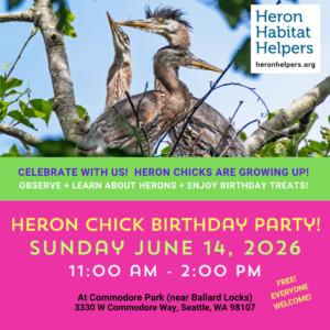 Great Blue Heron Chick Birthday Party June 14, 2026